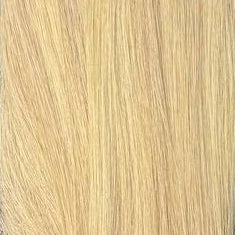 Hot Fusion Hair Extensions 22