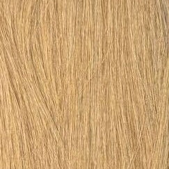 Hair Extension Tapes 22