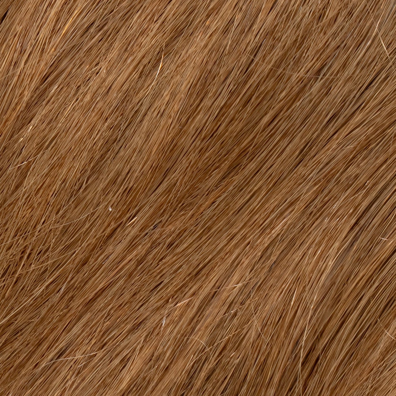 Injected Tape-In Beach Wave - (#6A) hair extensions