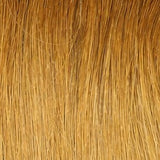 Tape-ins Tiramisu - 2q/4q hair extensions