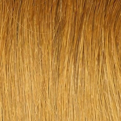 Tape-ins Tiramisu - 2q/4q hair extensions