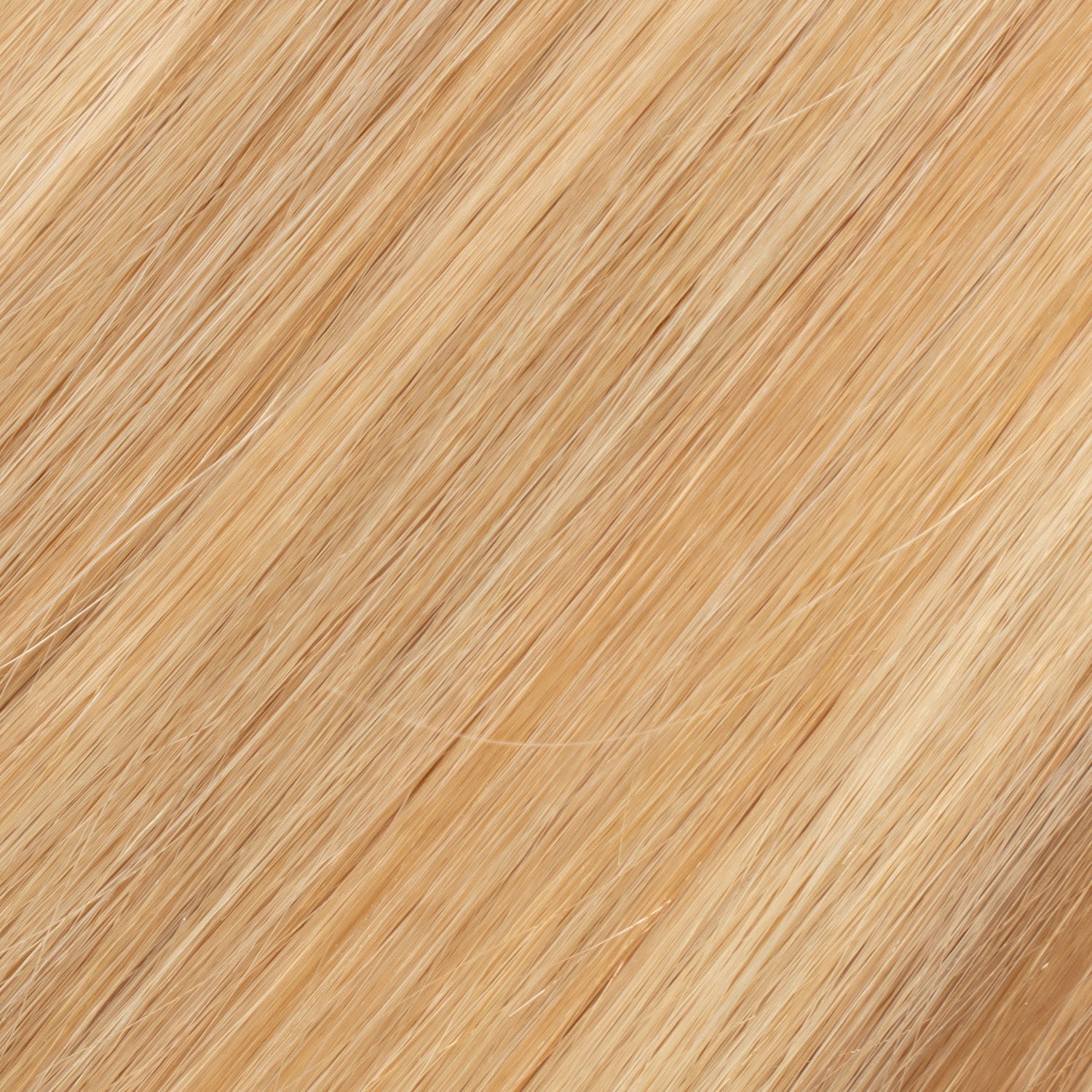 Tape-ins Toasted Coconut - 10/8WBL hair extensions
