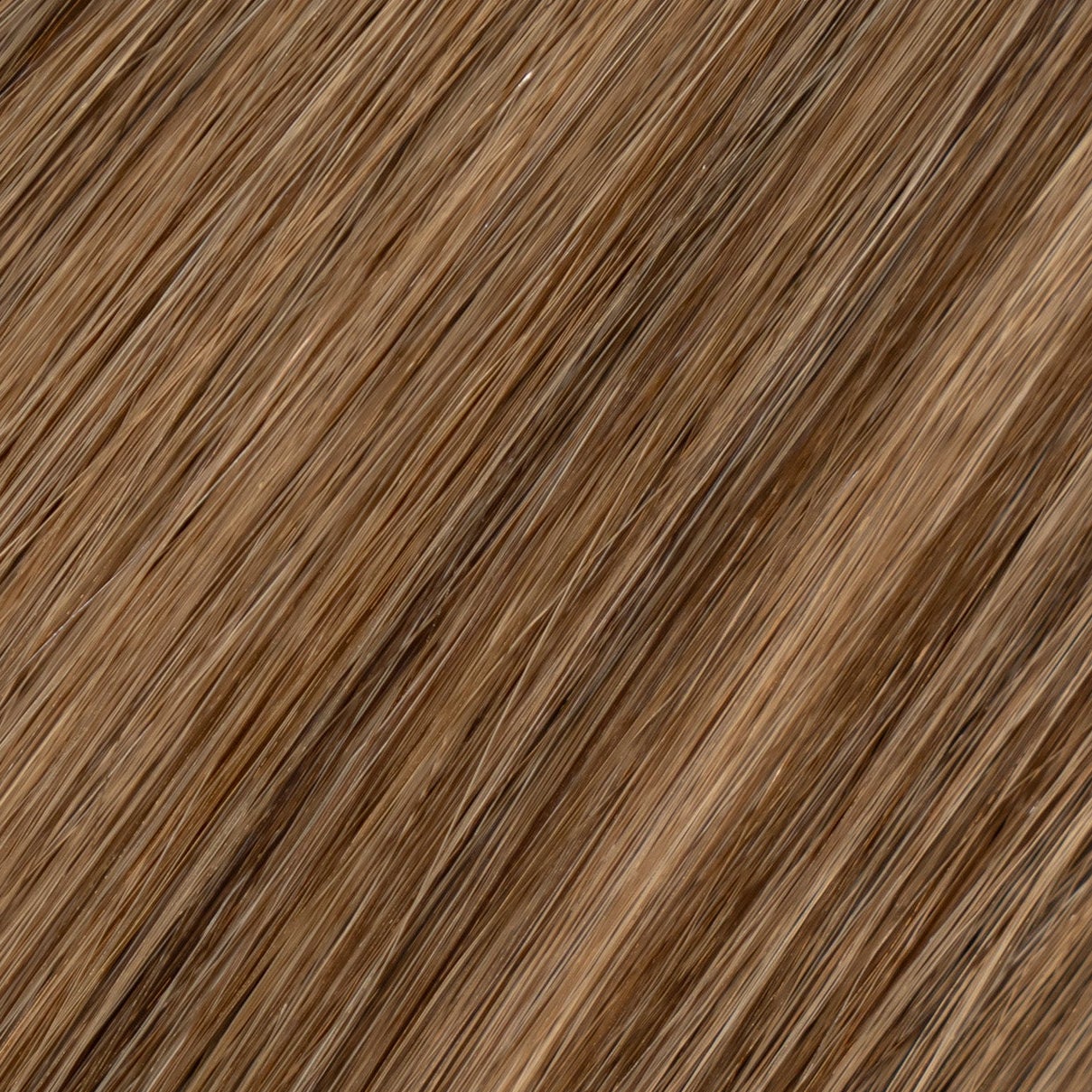 Tape-ins Tiramisu - 8/6WB hair extensions